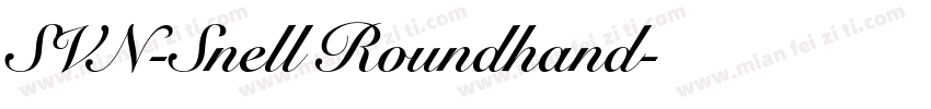 SVN-Snell Roundhand字体转换